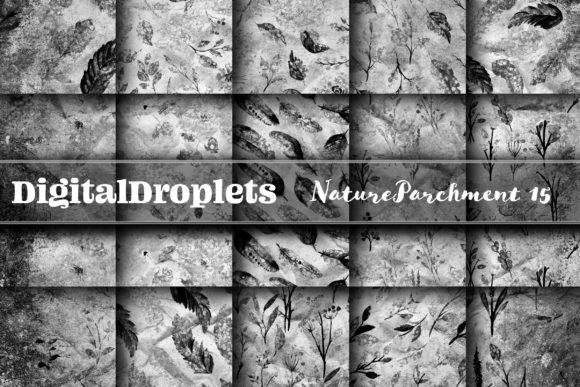 Nature Parchment Vol. 15 Collection: A Bold Statement for Creative Expression
